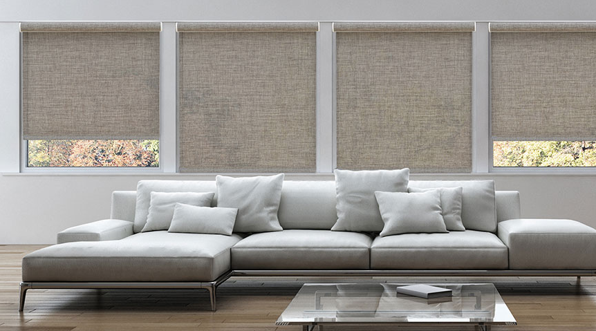 Interior solar roller shades filtering daylight at a home window